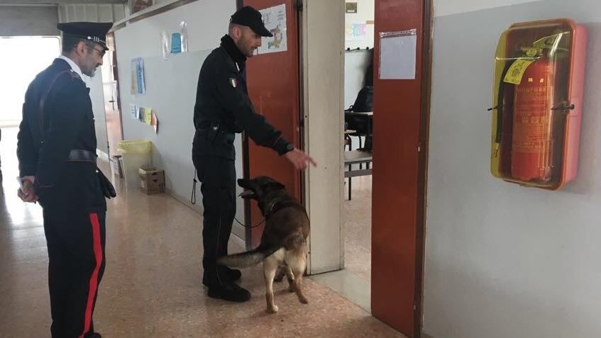 Cani antidroga in due scuole dell'est veronese - San Bonifacio - L ... - L'Arena