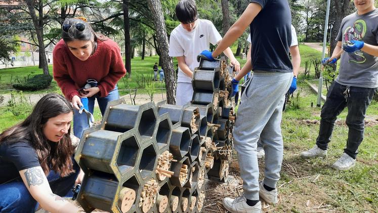 I ragazzi degli istituti scolastici di Verona ai bastioni per il progetto degli insetti impollinatori