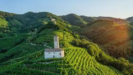 Prosecco: le colline dove si produce il vino che, come altre Igp, viene tutelato dal nuovo Regolamento