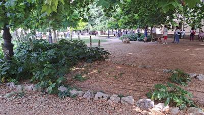 I giardini di piazza Indipendenza. L’area verde è stata riqualificata sei anni con un radicale intervento che ora non si nota più