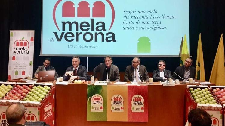 Nuovo marchio La presentazione lo scorso dicembre del nuovo brand «Mela di Verona»