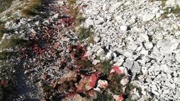Monte Altissimo: il sentiero delle creste dove martedì è stato trovato il camoscio spolpato