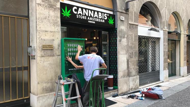 Il nuovo cannabis store di via Stella (Brusati)