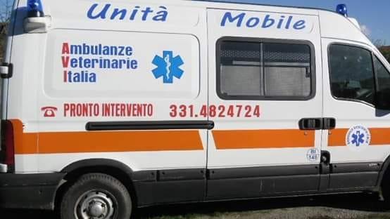 L'ambulanza veterinaria di Varese