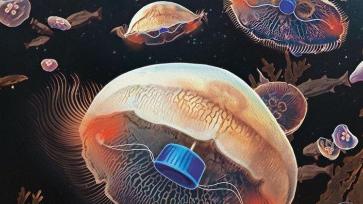 Una ricostruzione grafica delle meduse «attrezzate» con un piccolo sensore azzurro