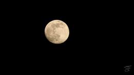 La luna fotografata da Silvia Totolo