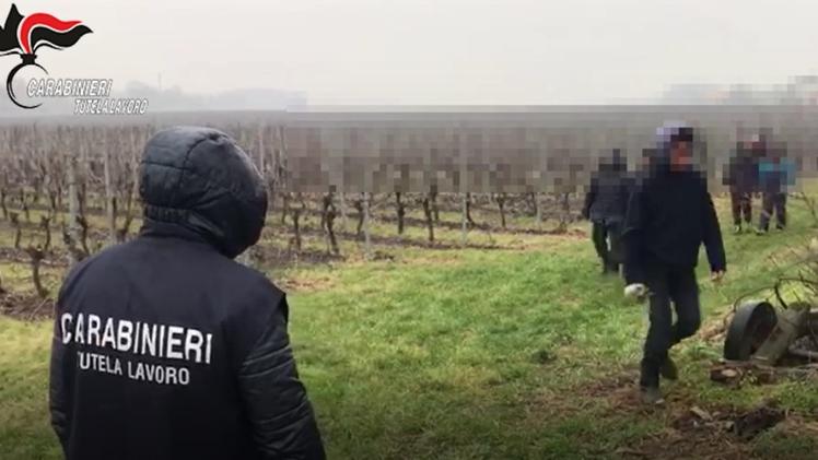 Operazione dei carabinieri contro sfruttamento di operai agricoli