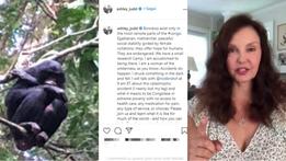 Il post su Instagram di Ashley Judd