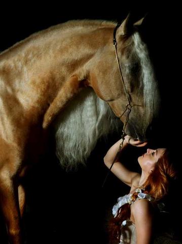 Adriana Togni in «Il Regno del cavallo»