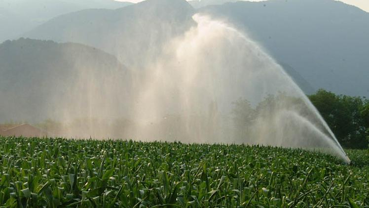 Campi irrigati, allarme di furti d'acqua tra agricoltori