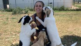 La veterinaria Ioana Ogiolan con alcuni cani abbandonati al rifugio Enpa