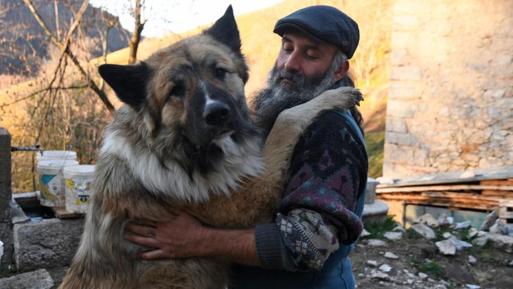 Il cane da guardiania Gazunt con Mattia Boscaini (FOTO LUIGI PECORA)