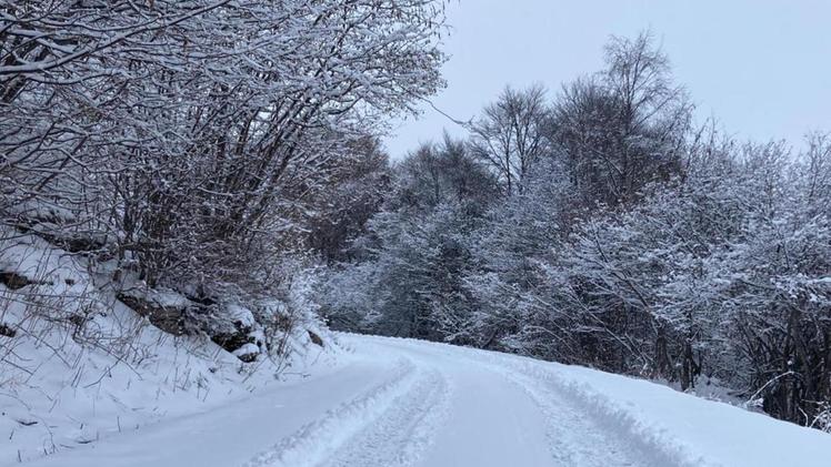 Nevicata  Il panorama ieri pomeriggio da Malga LessiniaAlta Lessinia  Una strada ricoperta di neve