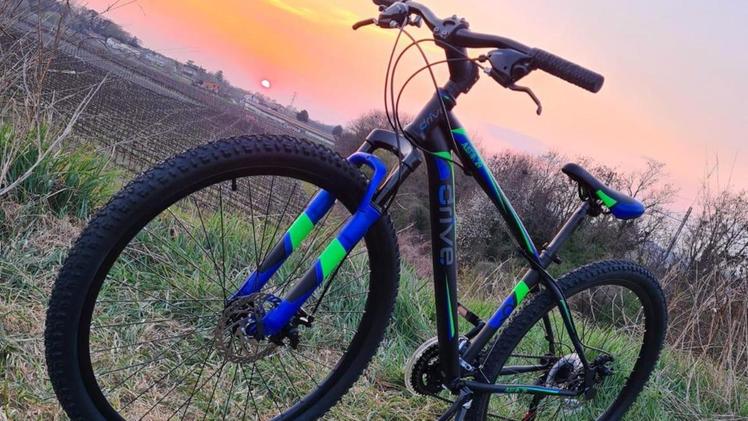 La mountain bike blu elettrico e verde acido rubata ad Herald