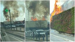 L'incendio scoppiato nell'area del supermercato Rossetto, dietro La Grande Mela, e che ha avvolto la siepe circostante